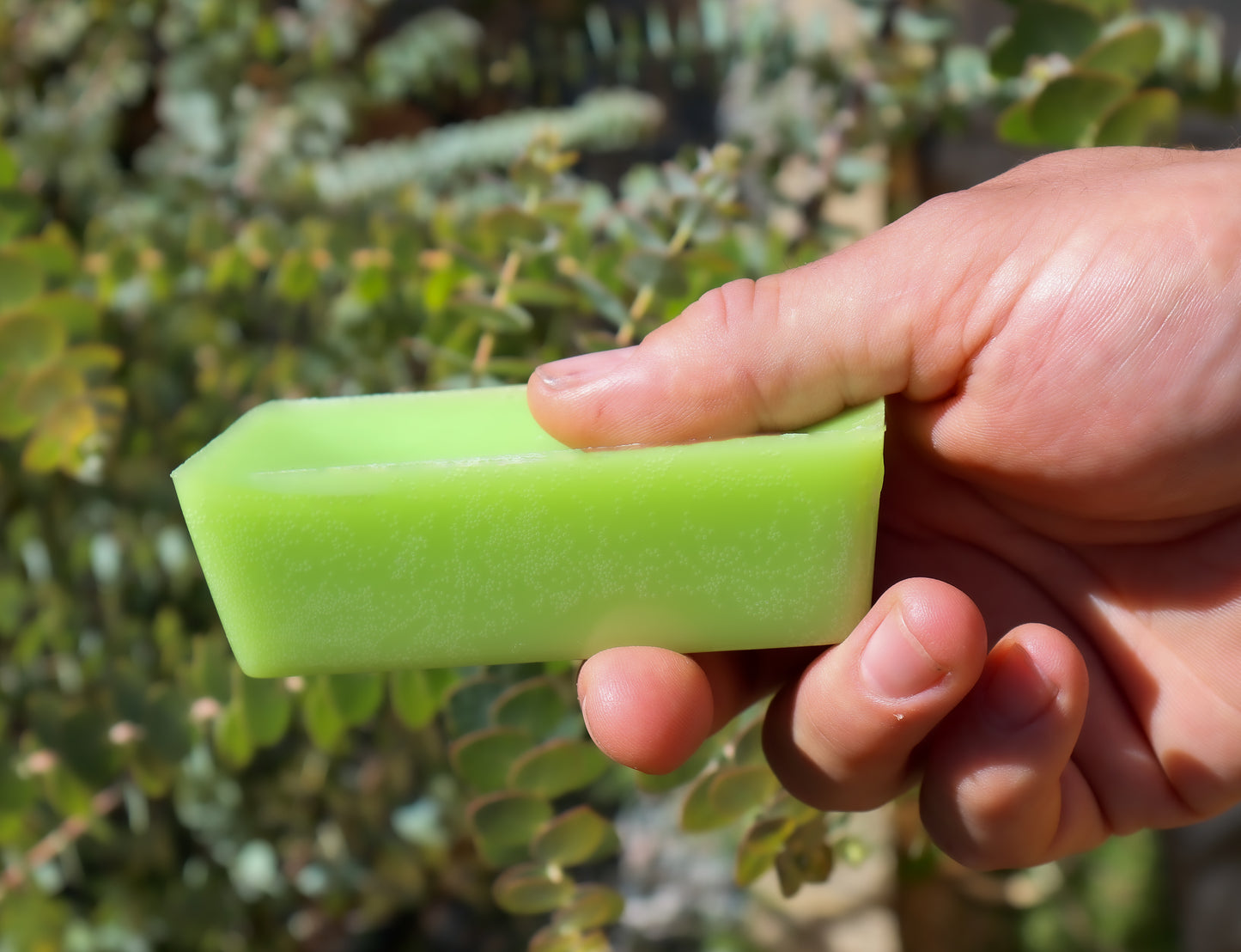 Bush League Hockey Wax