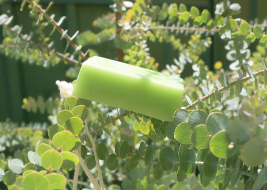 Bush League Hockey Wax